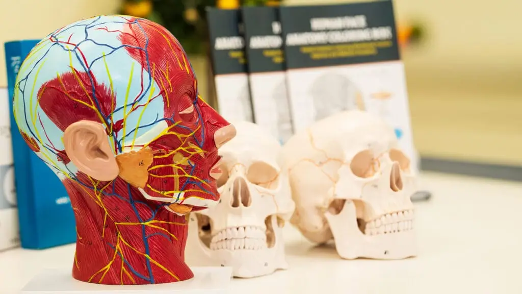 Internships and courses in injectables in Montreal and Laval. Courses in injections, fillers, and other agents. Training in aesthetic medicine for beginners and experienced practitioners.